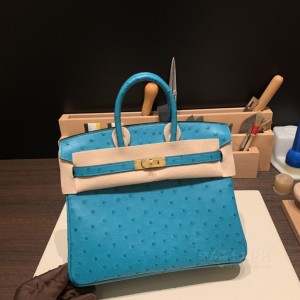 hermes birkin 25cm 铂金包 南非KK鸵鸟皮ostrich 维罗纳绿 金扣(爱马仕铂金鸵鸟皮包)