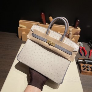 hermes birkin 25cm 铂金包 南非KK鸵鸟皮ostrich 8L冰川白拼82 玛瑙蓝 金扣(爱马仕 鸵鸟 kelly 25)