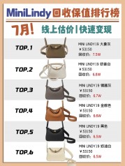 2024爱马仕mini lindy回收价格-Hermes mini lindy包包保值排行榜