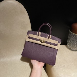 hermes birkin 25cm 铂金包 togo皮 N5 加仑紫 金扣